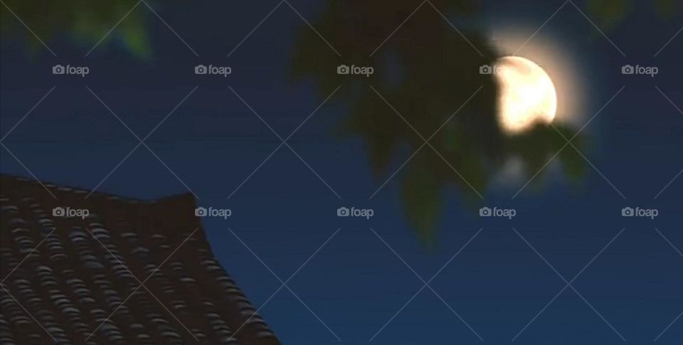 Night scenery with moon