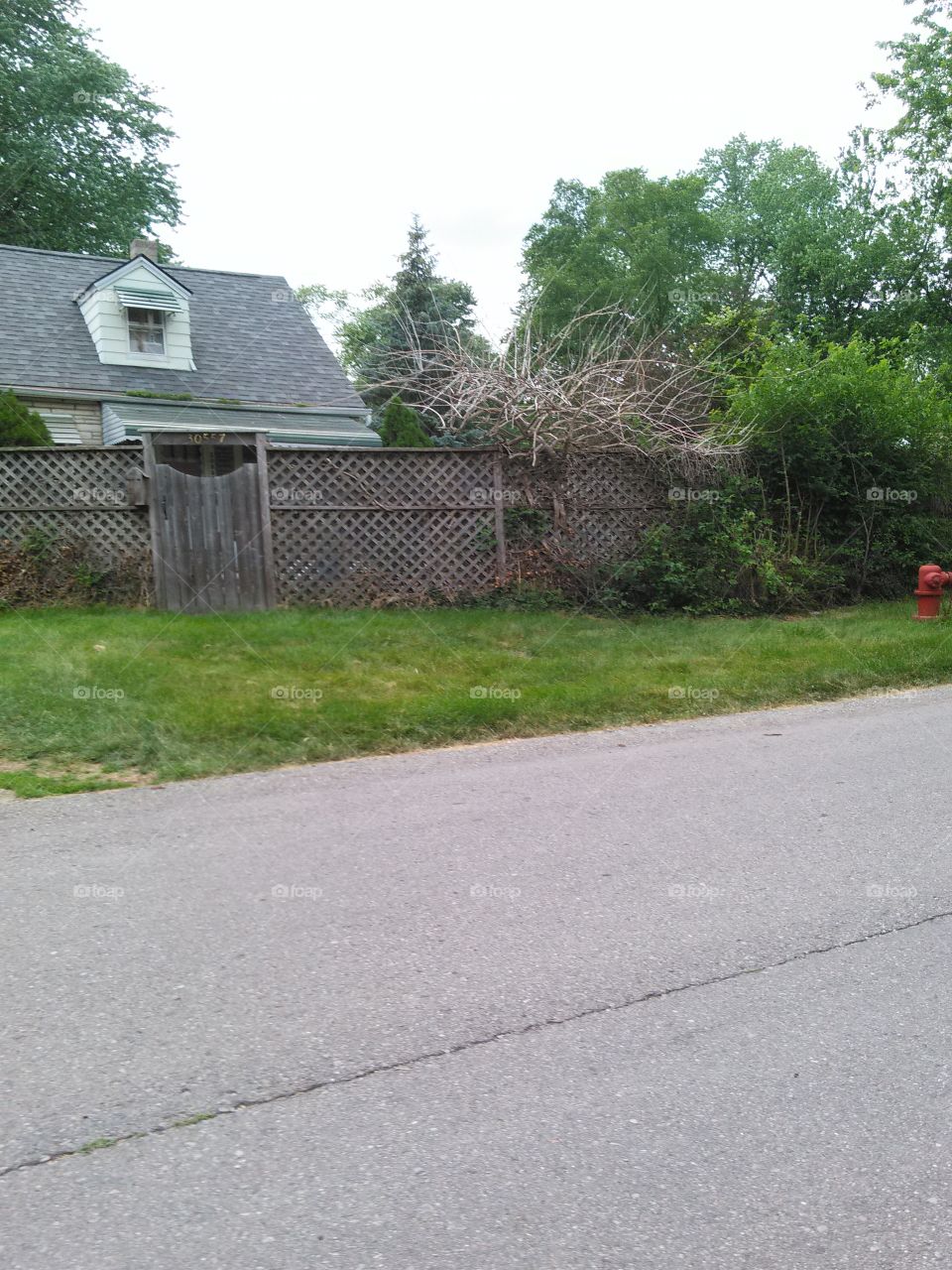 Spooky House. There's one house in every neighborhood that just gives everyone the creeps. 
