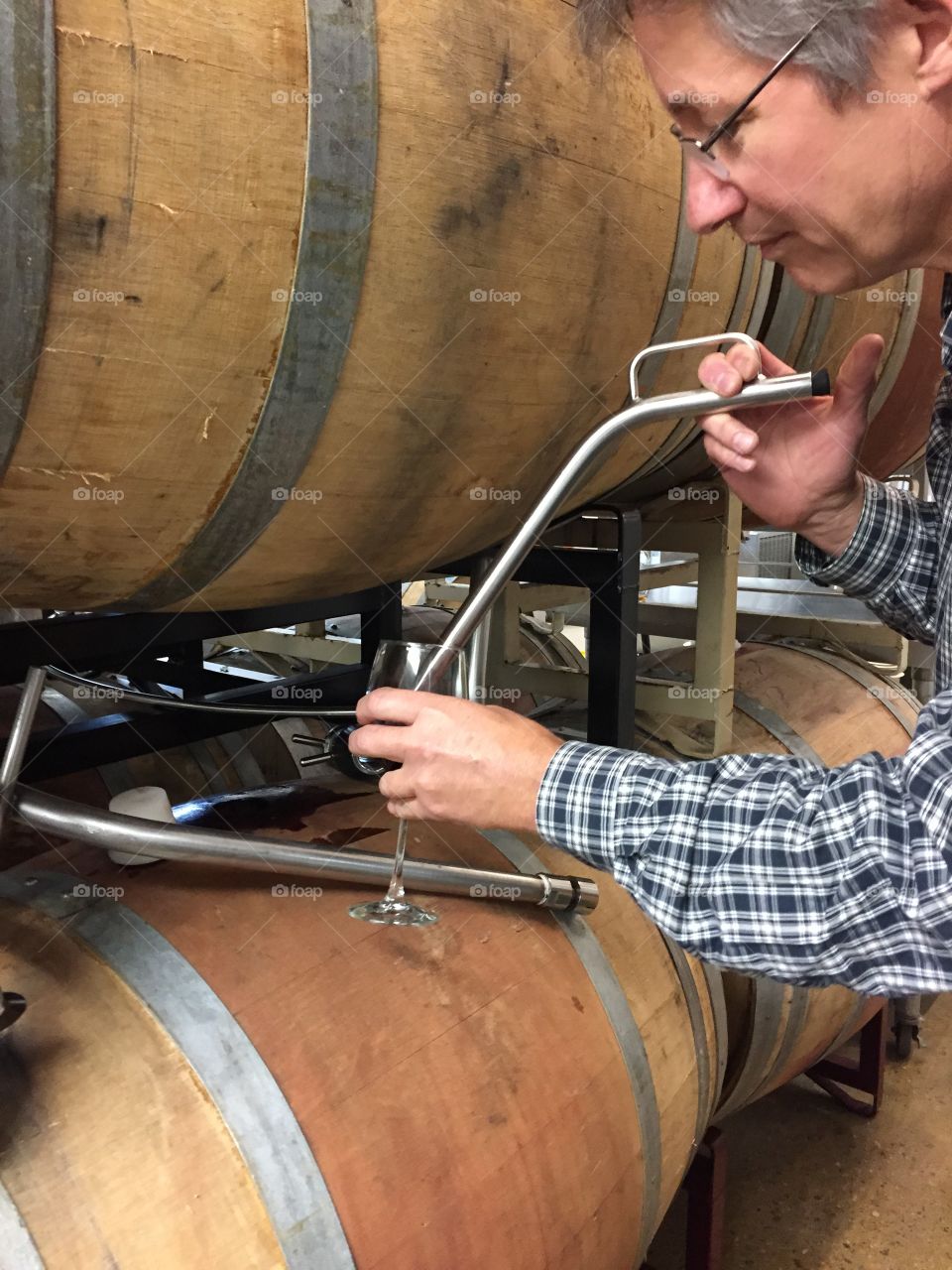 Barrel tasting.  Winemaker uses a thieve to extract wine from an oak barrel to sample