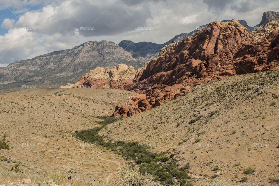 Red Rock Canyon , Mojave Desert near Las Vegas , in Nevada.