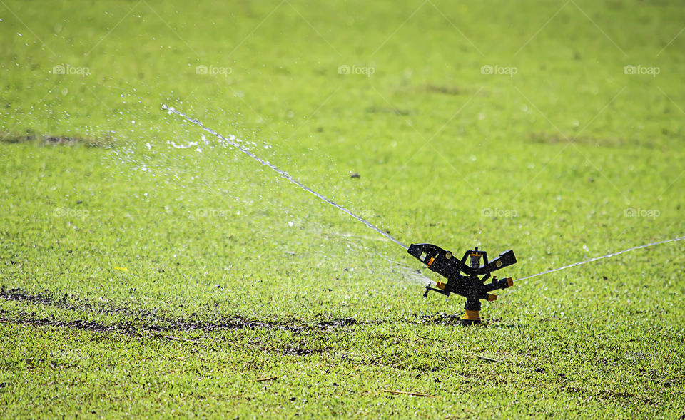 Sprinkler plastic are watered green lawn.