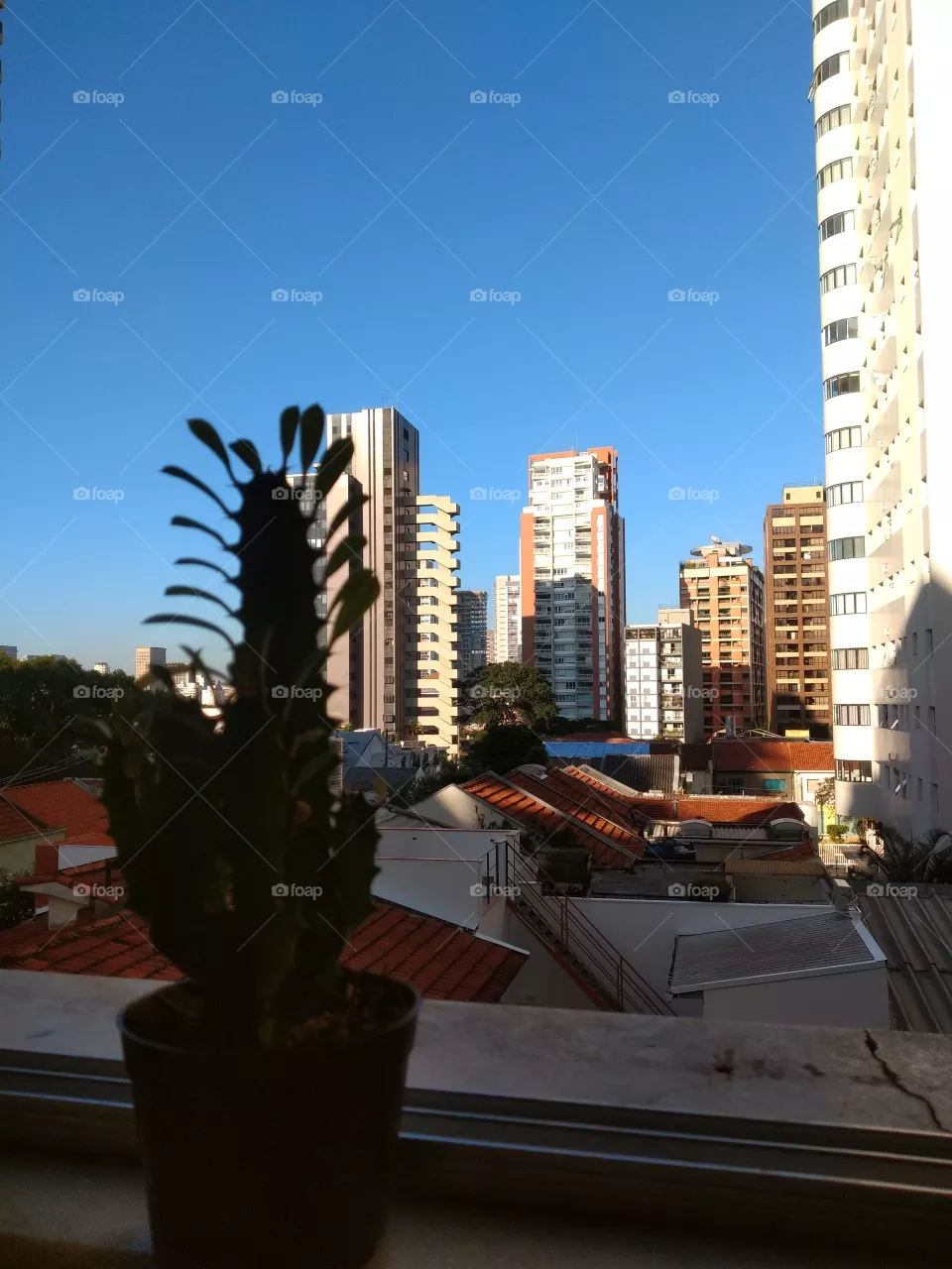 bem vindo foap