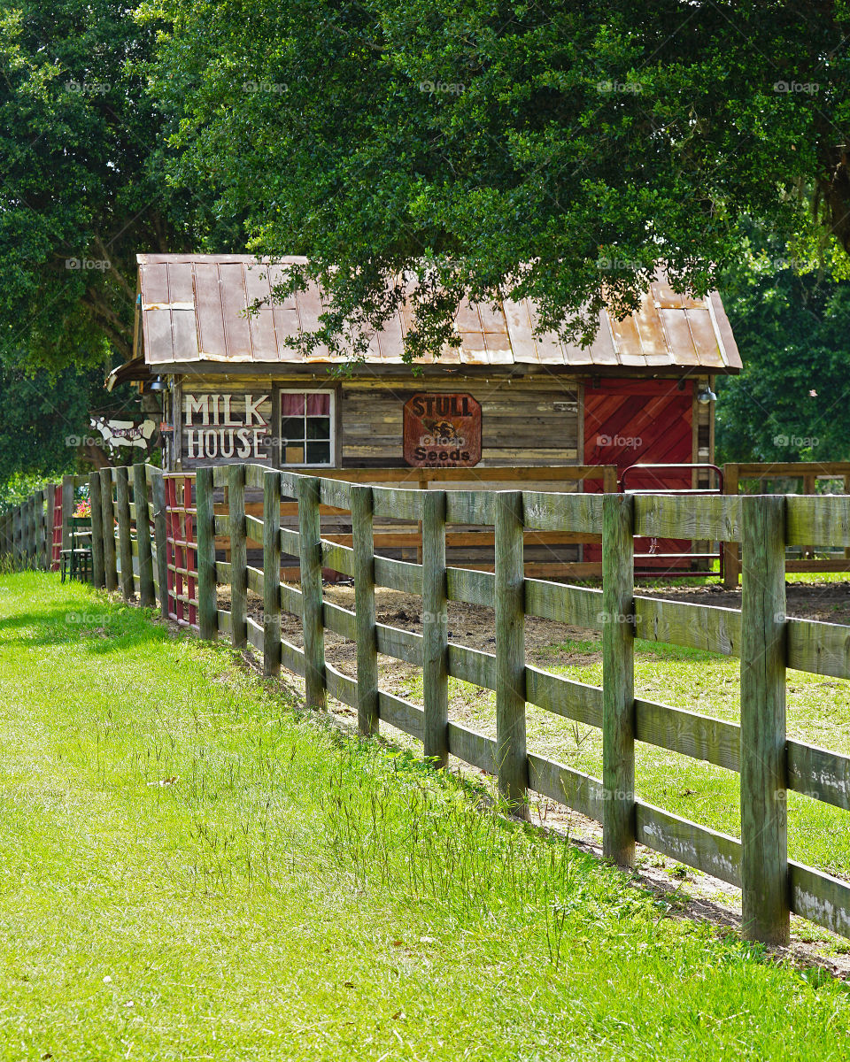 Milk house in the countryside