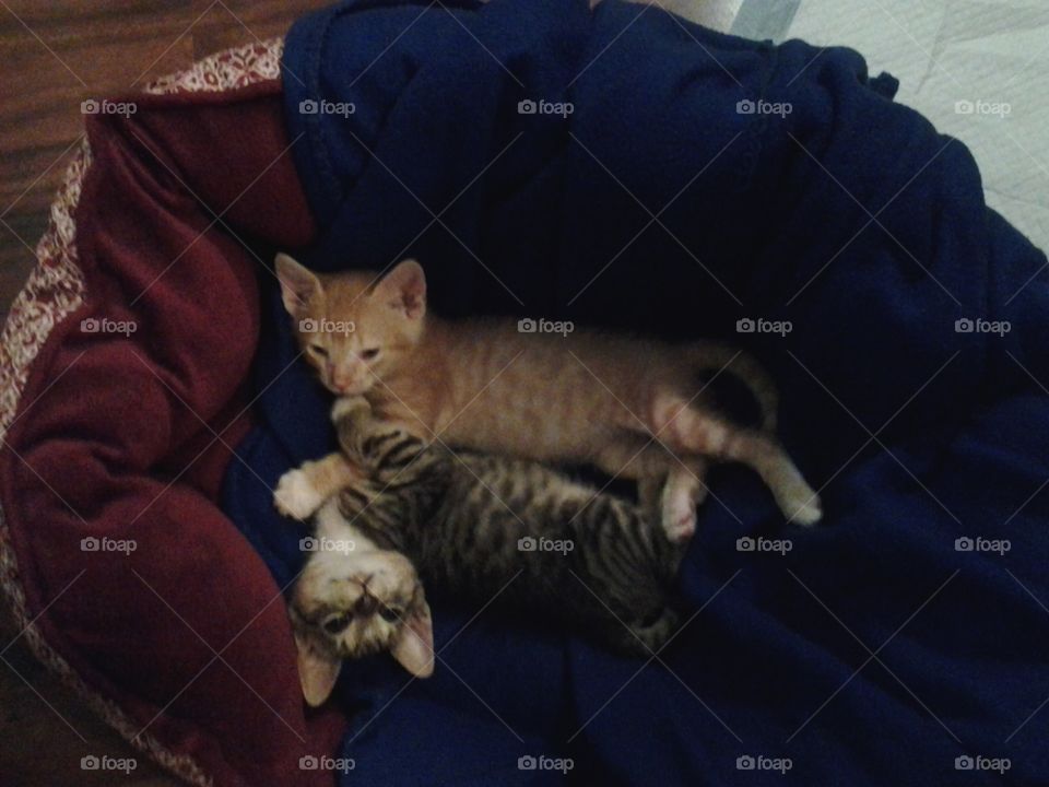 Baby Brothers at it cuteness