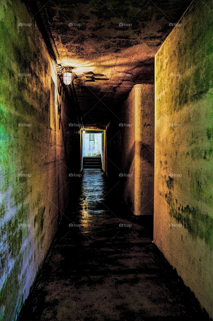 Dank Hallway