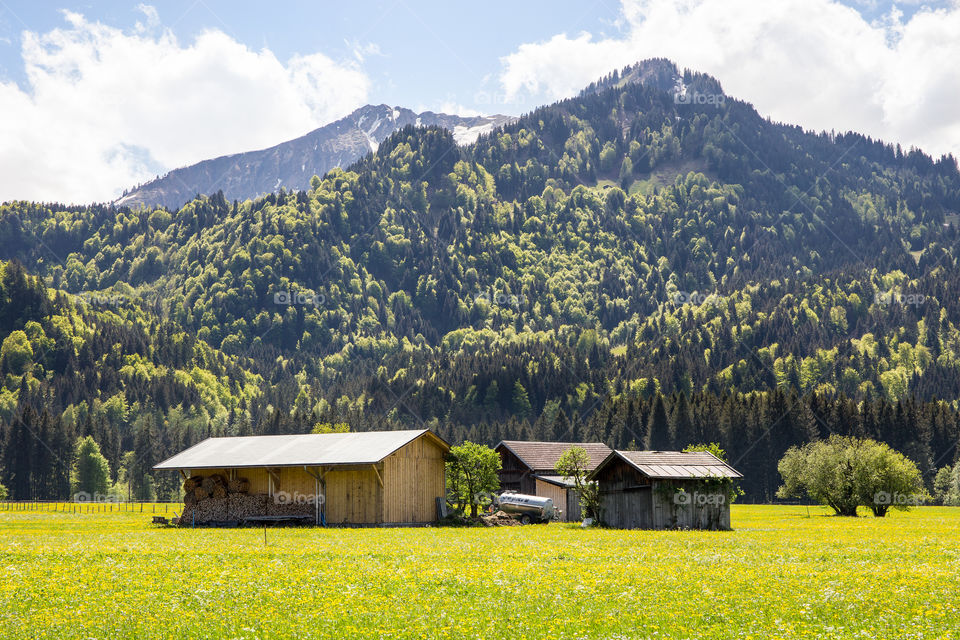 farm houses in the oberstdorf valley