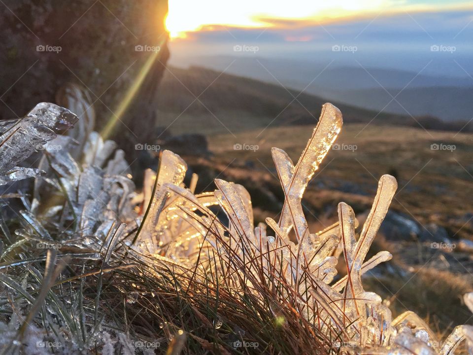 Sun shining on frozen grass at the base of the mountains