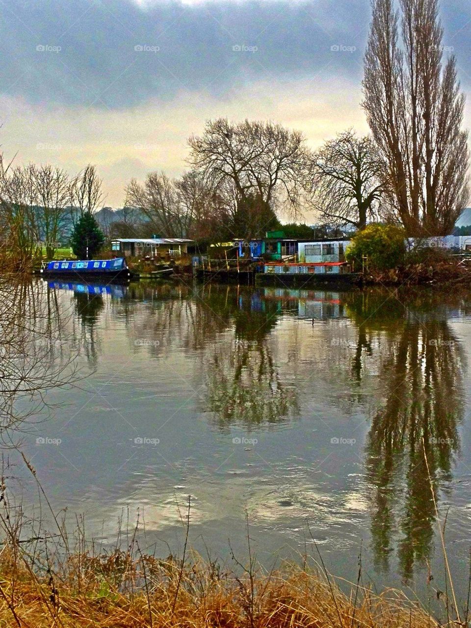 nature trees water river by tommygirl-uk
