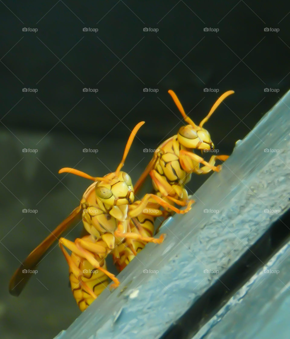 I'm angry.stay away from us @#$