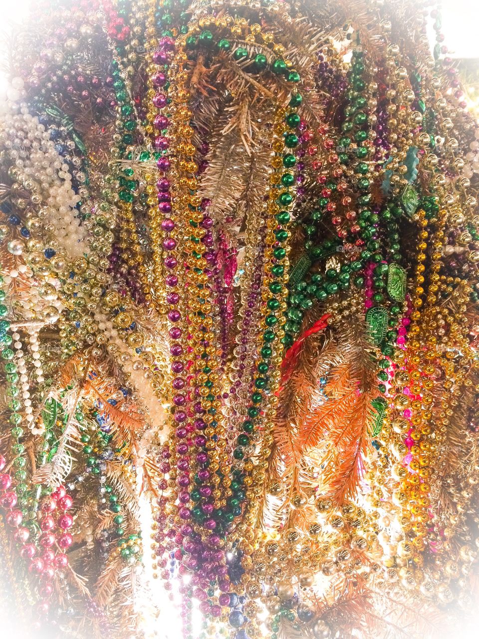 Mardi Gras lit up