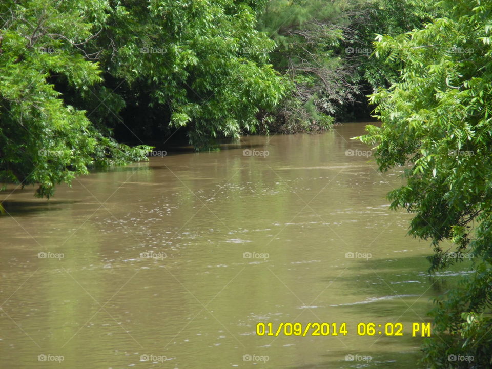 river picture 1. this is a picture of a river in east Texas 
