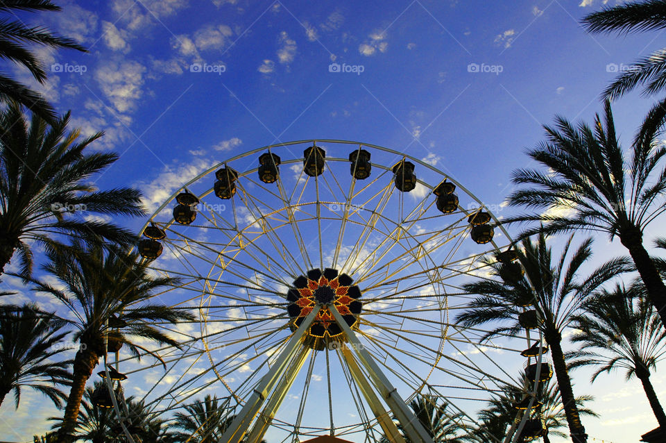 Ferries Wheel in Southern California.