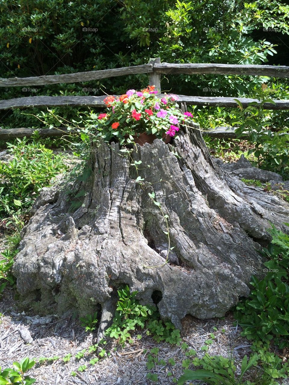 Chestnut Stump Planter