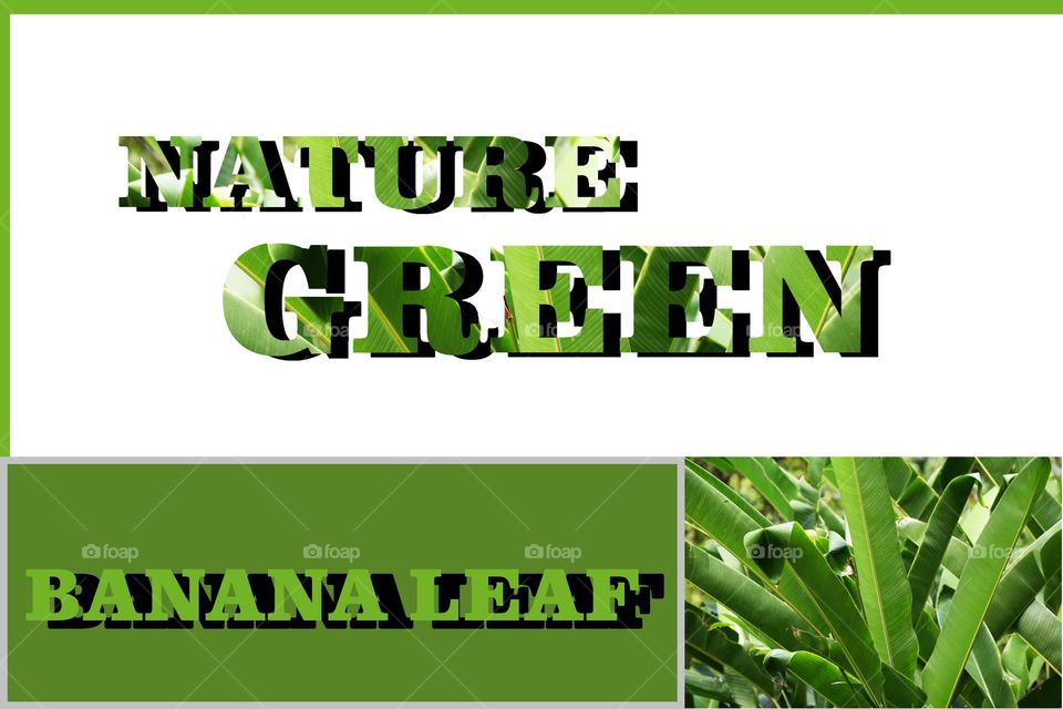 natural green banana leafs pattern background poster