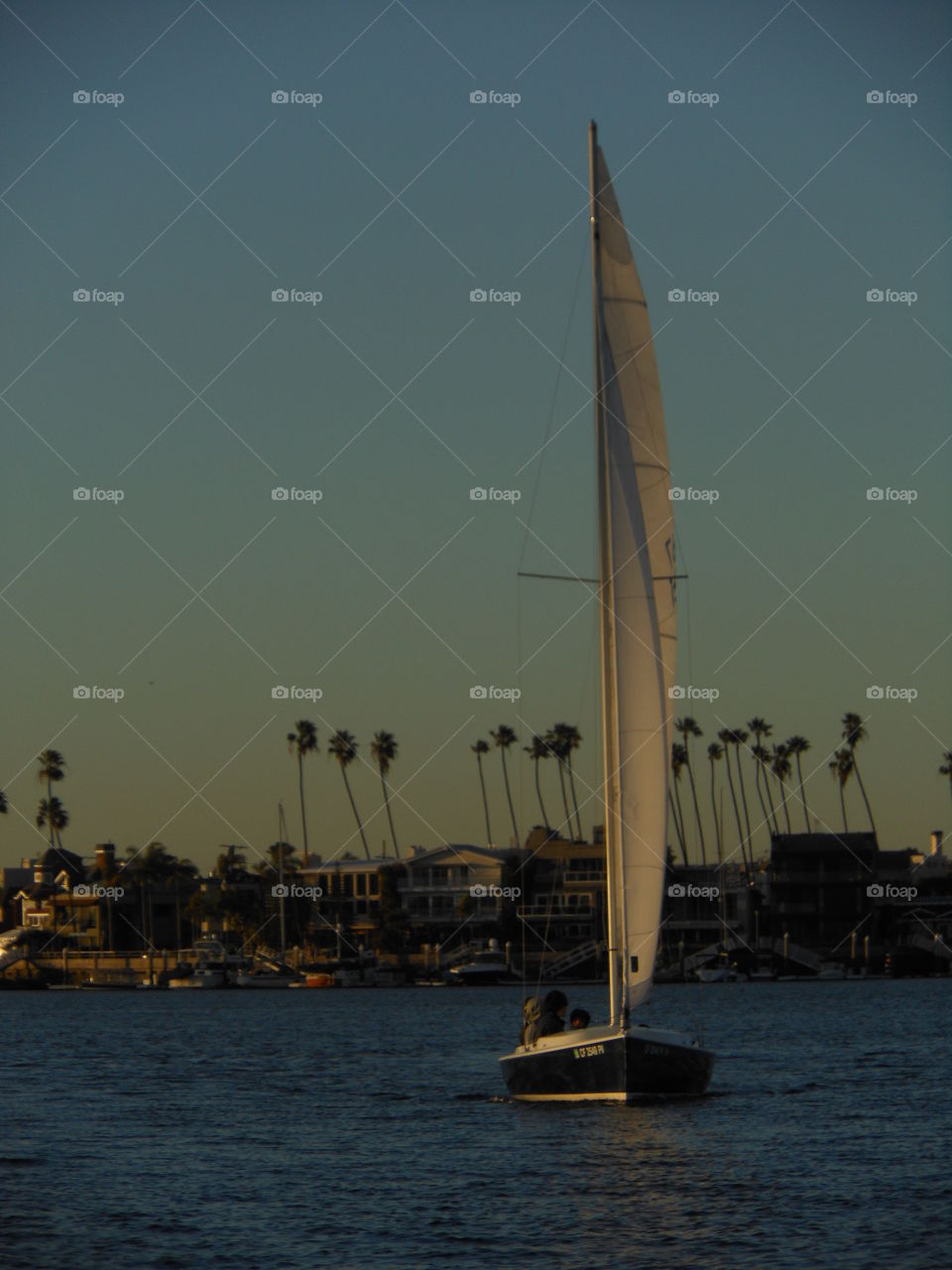 Sailboat heading home, Long Beach, California 