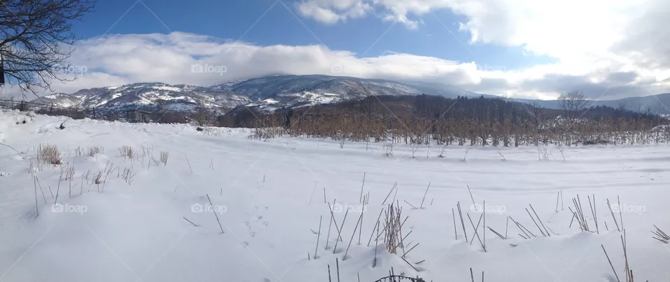 mountain