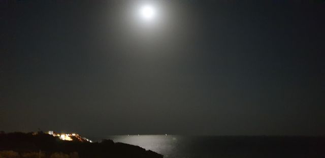 night
