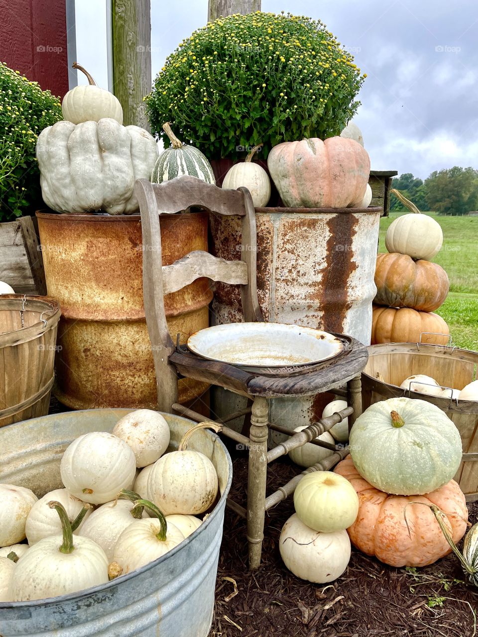 Pumpkin Patch in Stuart’s Draft, Virginia