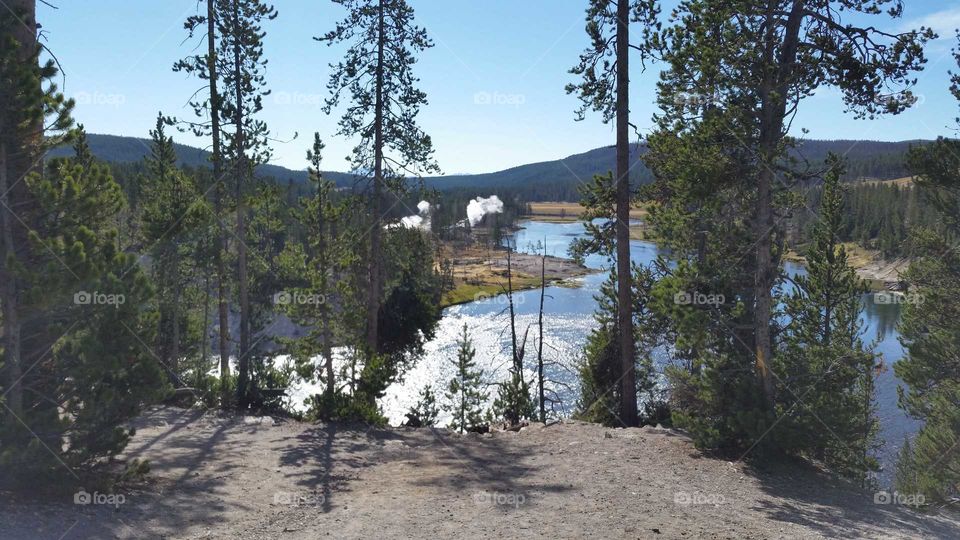 Life and Roads allowed side by side