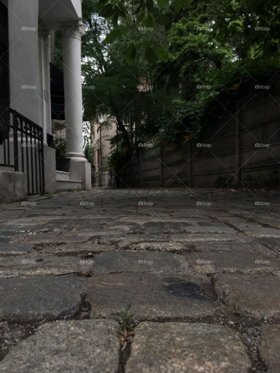 Walking around Bucharest this time - explore your own city for the pitoresque streets!