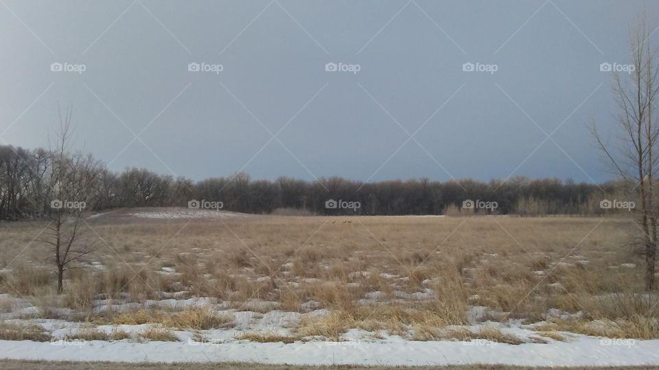 Winter, Landscape, Snow, No Person, Tree