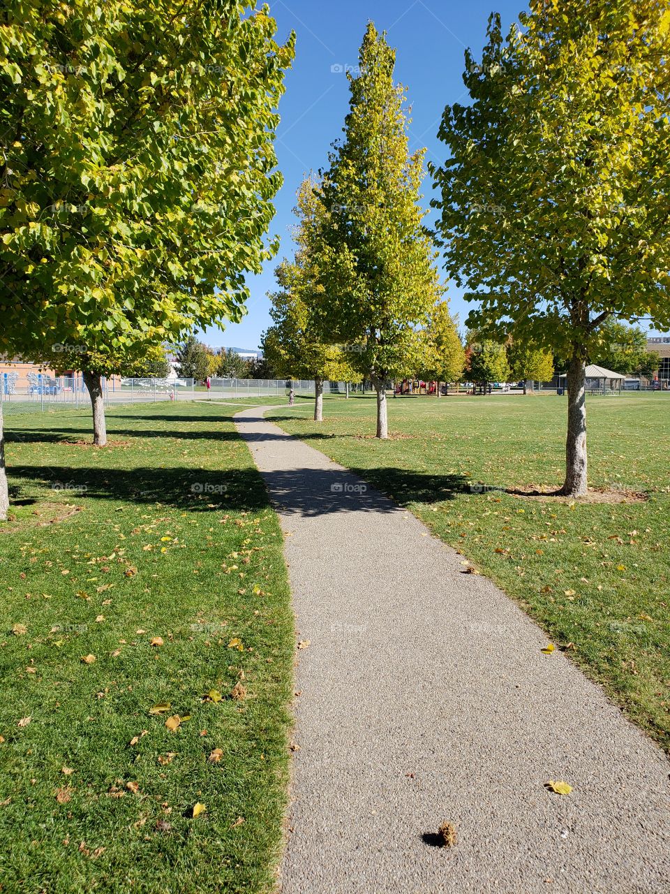 path in park