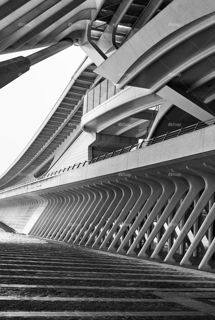Santiago Calatrava Liege Station