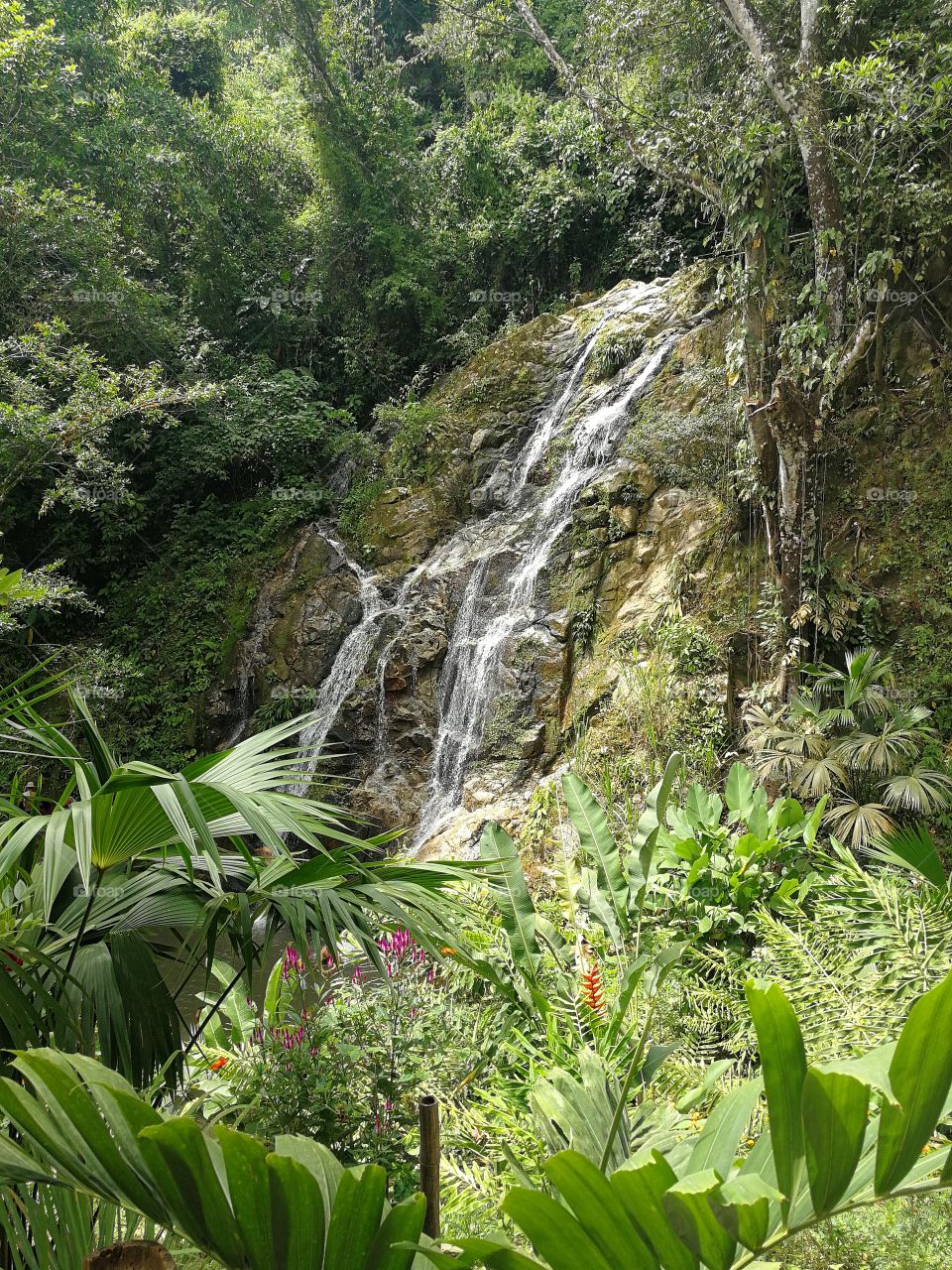 Marinka Waterfall in Minca, Colombia