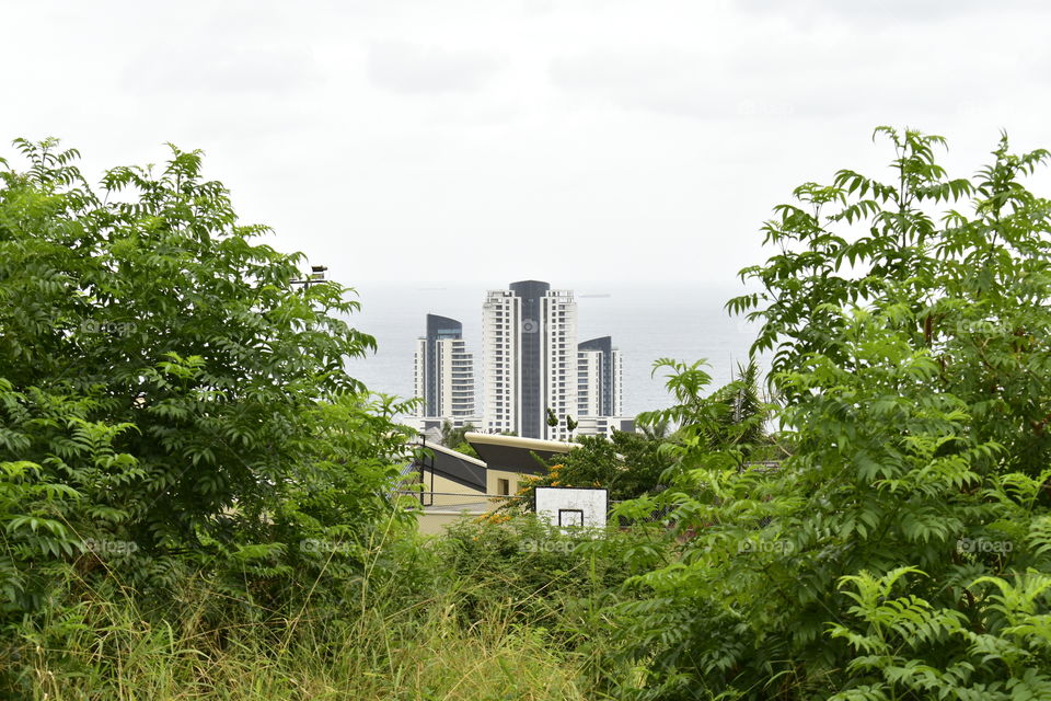 The Bush, The City And The Sea