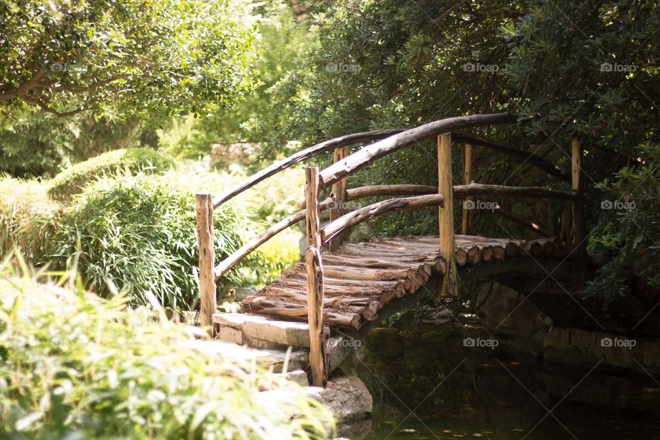 Zilker Botanical Gardens in Austin, Texas. 