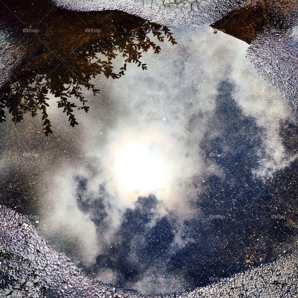 Puddle view 