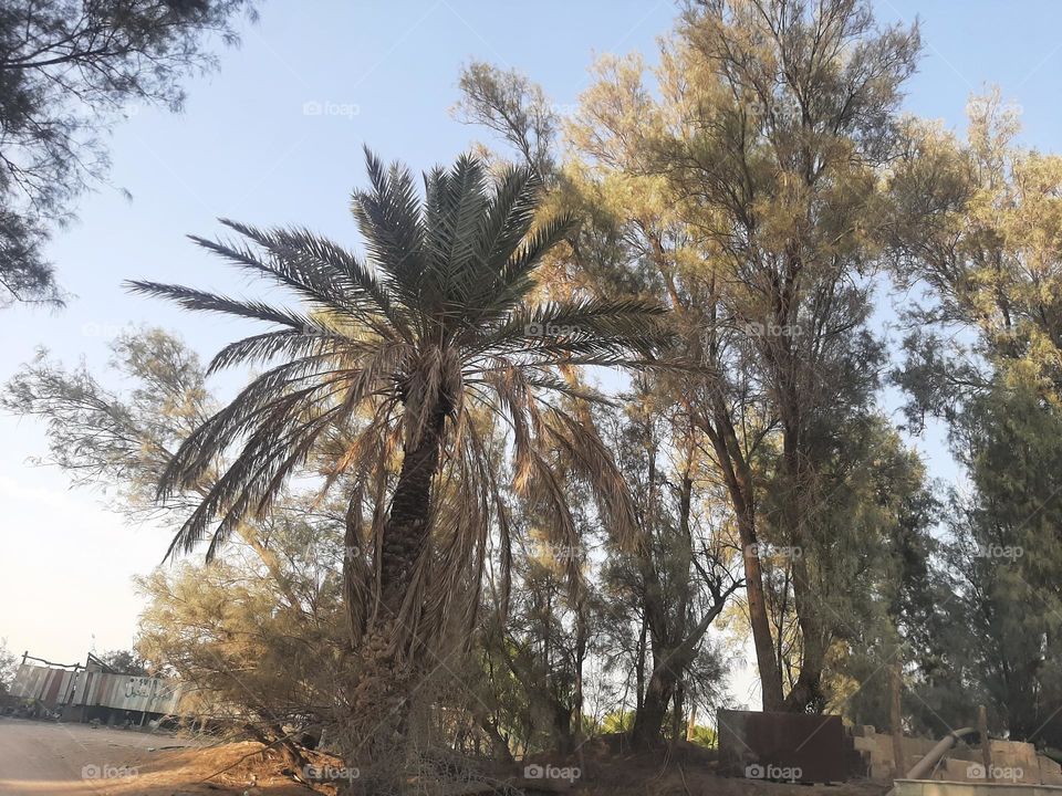 Please make me happy, I am poor, I need your help with support