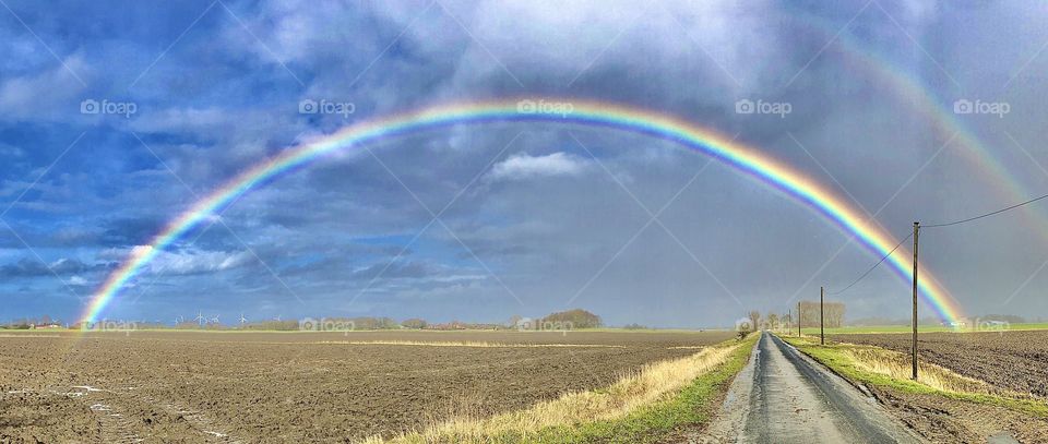 Unexpected beauty😍