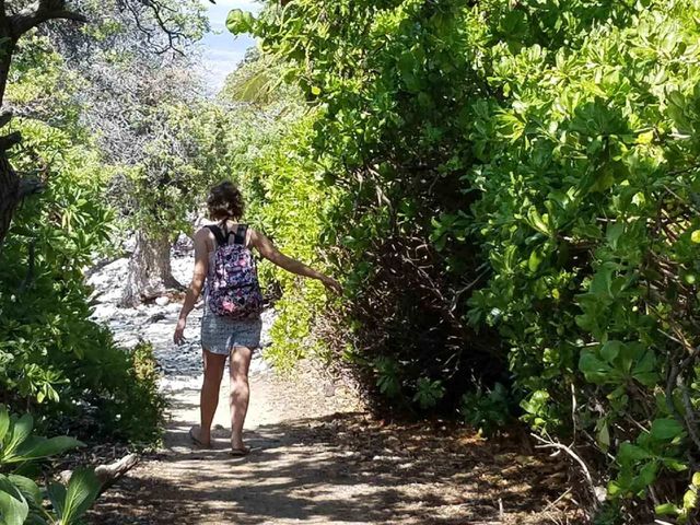 Hawaii