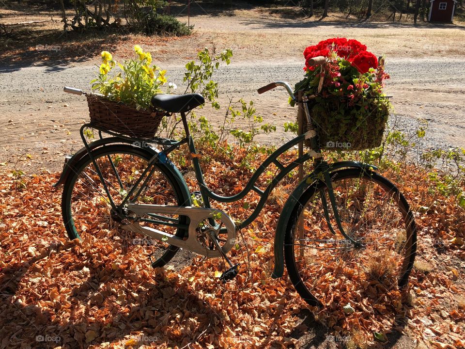 Flower cycle