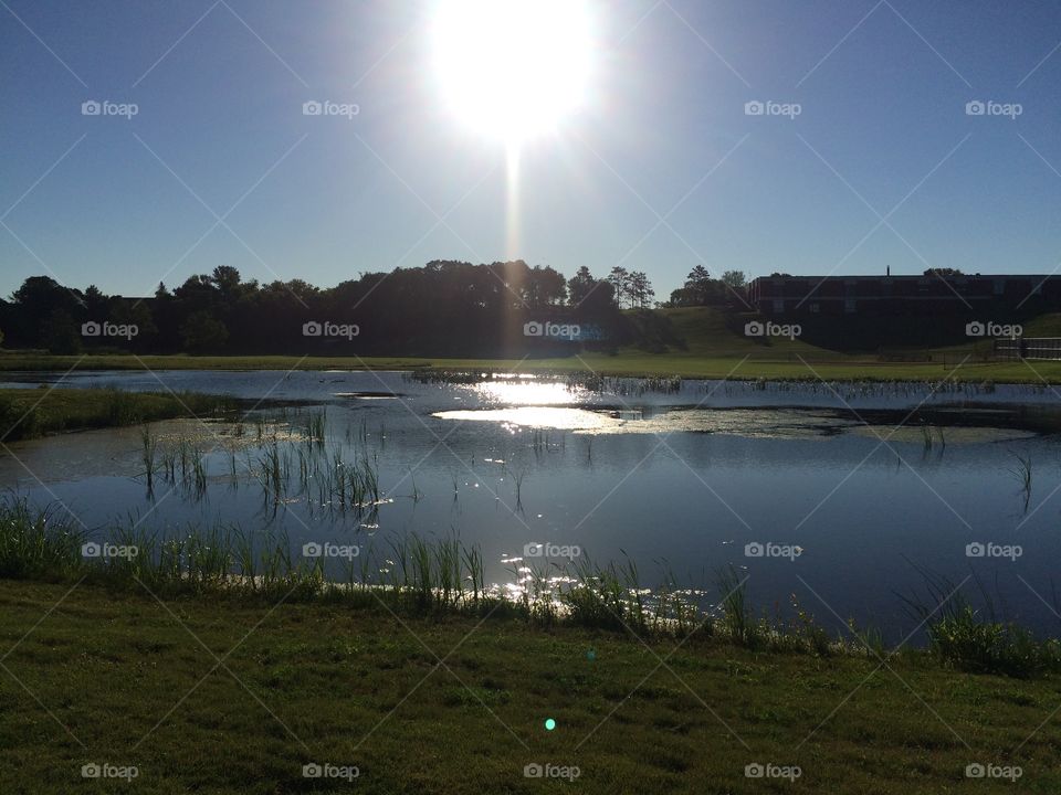 The sun reflecting off of this pond makes it a unique photo.