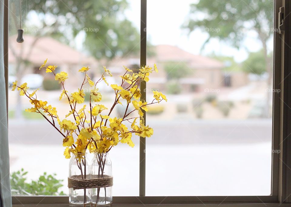 Flowers on window sill