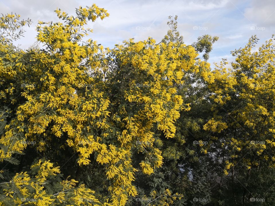 Nature, Dam of Povoa e Meadas, Castelo de Vide, Portugal