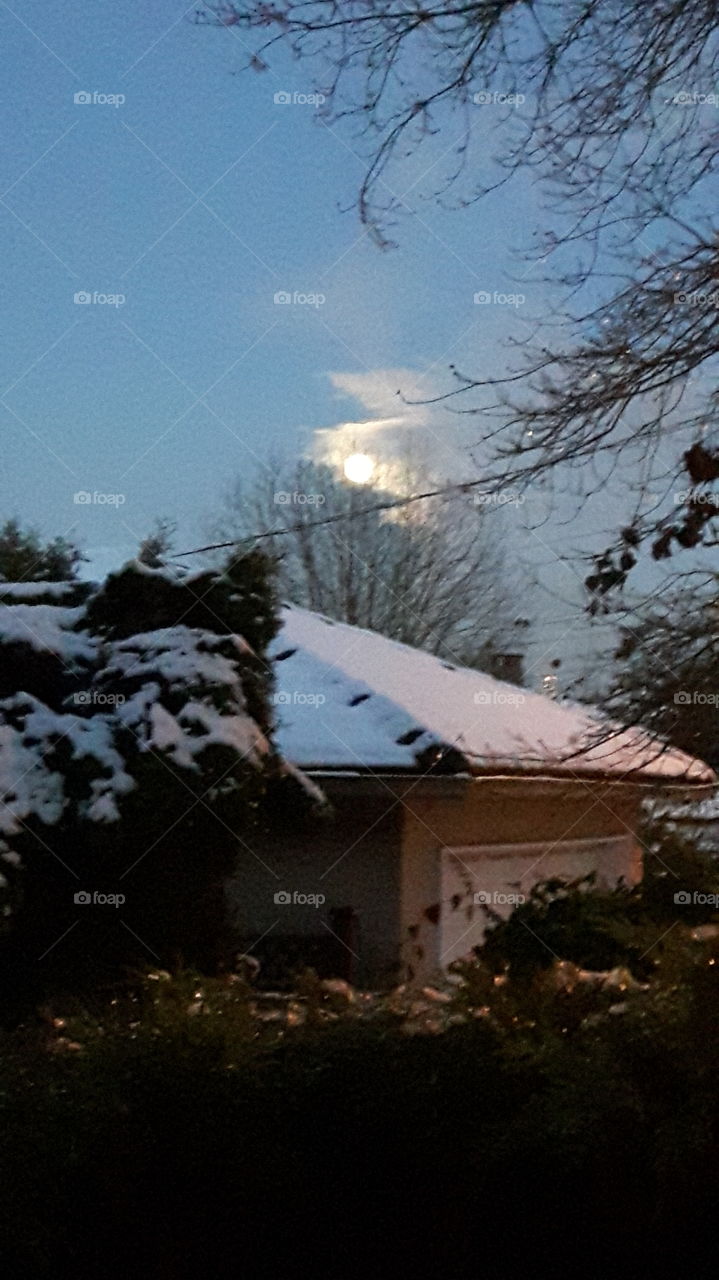 snow on rooftop and trees