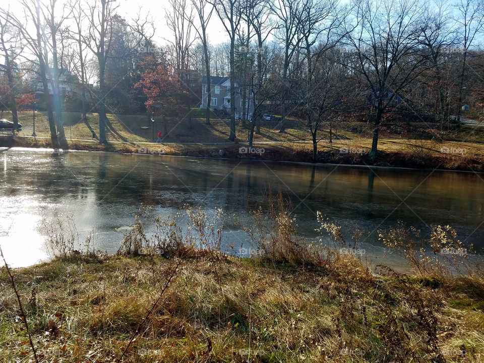 Icy lake in a park