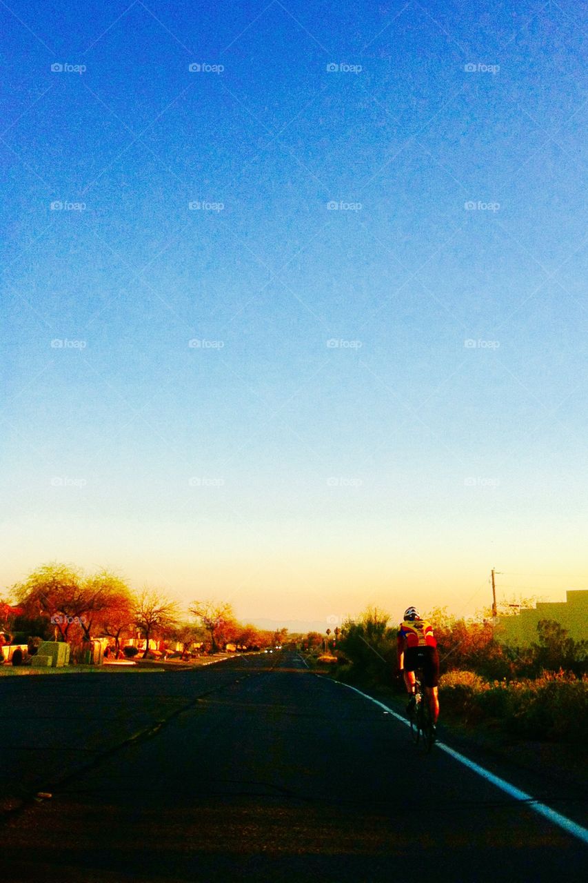 Desert landscape in Arizona 