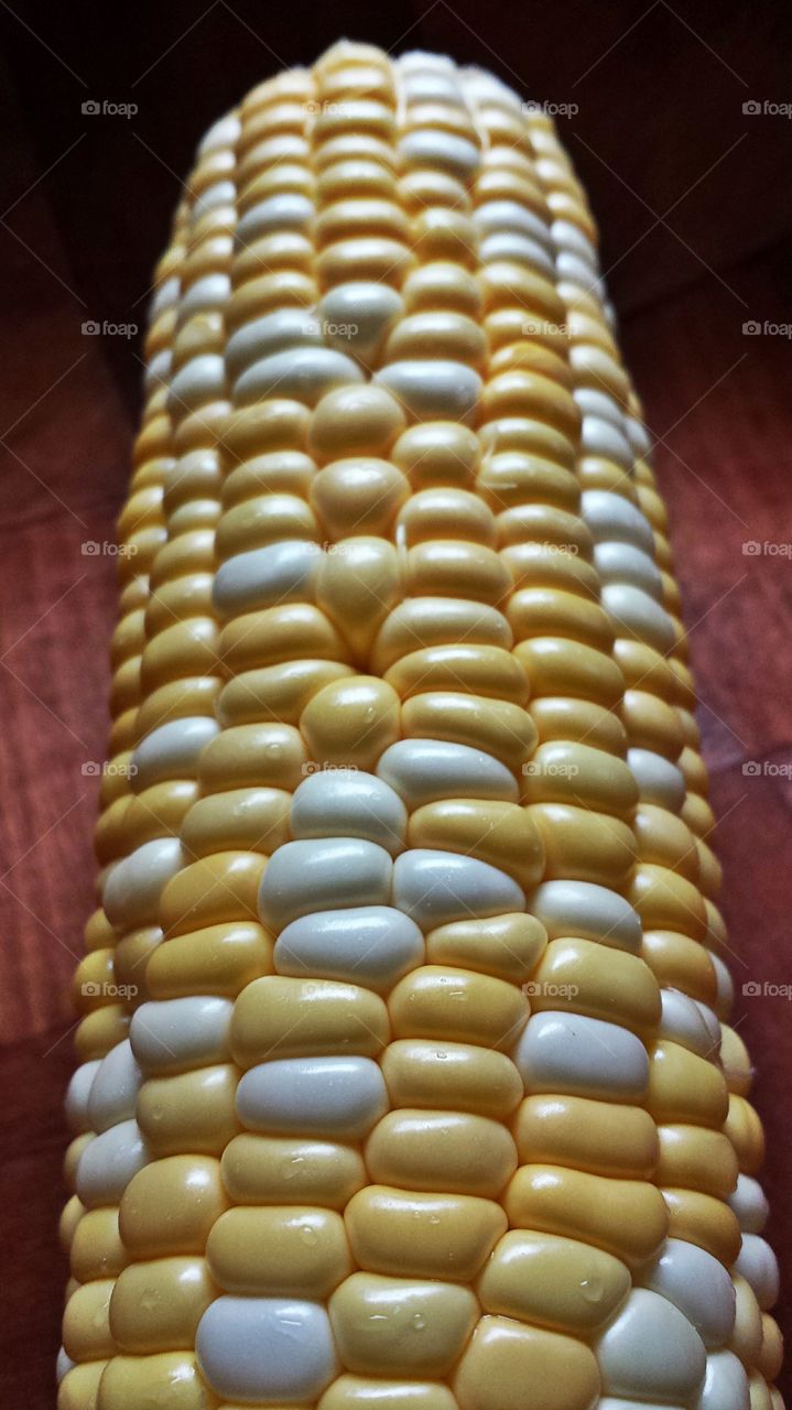 Corn. On the cob