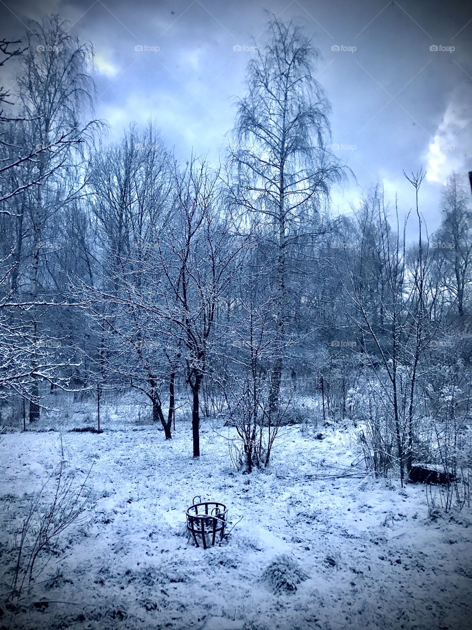 a short return of winter