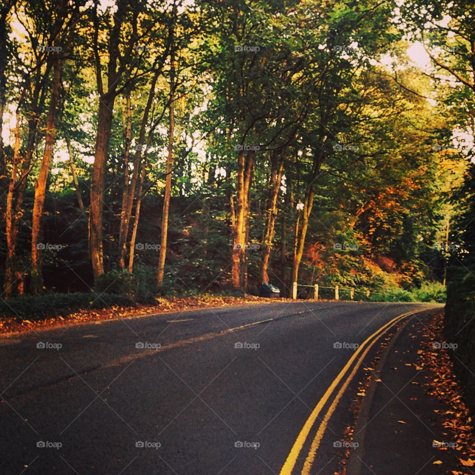 Autumn day in Oxenholme. Autumn day in Oxenhome, The Lake District, England