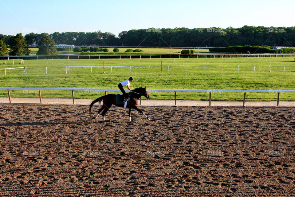 new horse training island by javidog