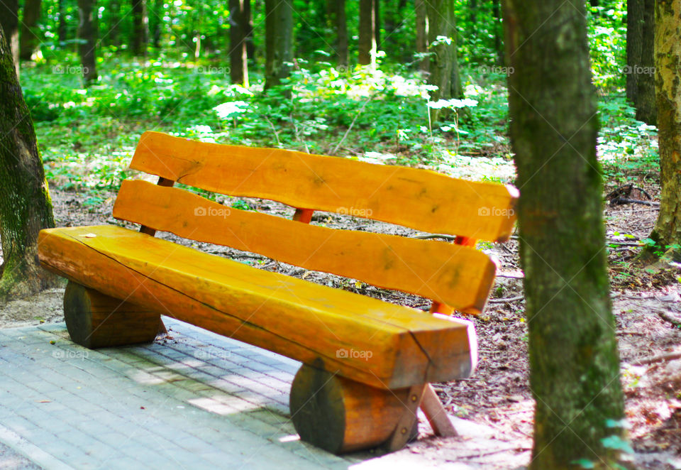 Bench in the park