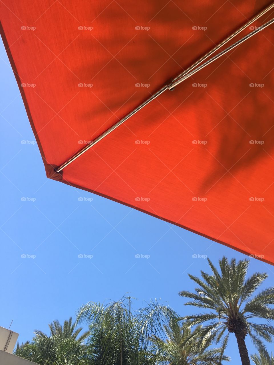 Low angle view of orange umbrella