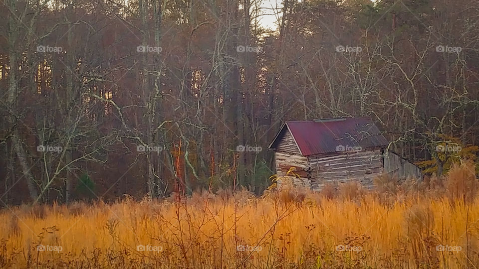 Rustic barn in a field glowing orange at sunrise in the country
