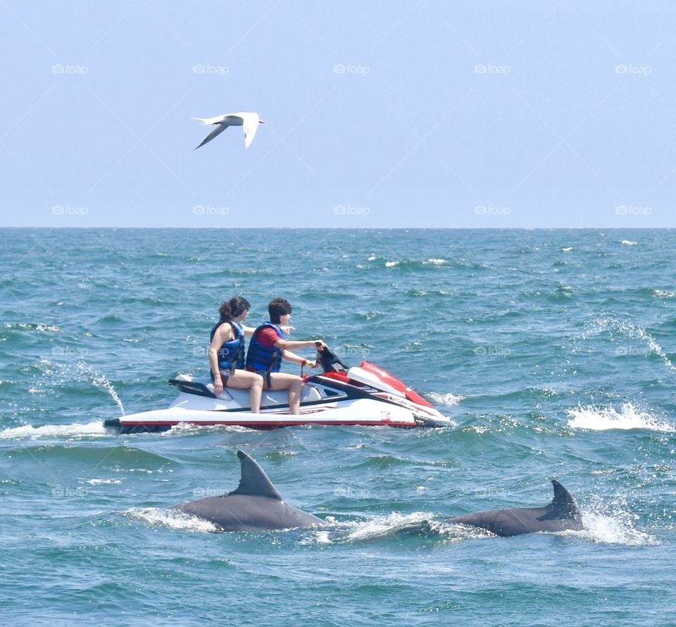 Dolphins swimming in the ocean beside a jet ski 