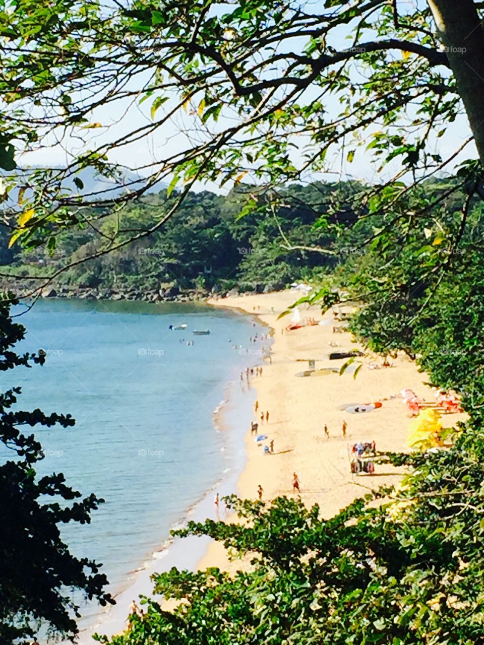 beach  - coast  - ilhabela